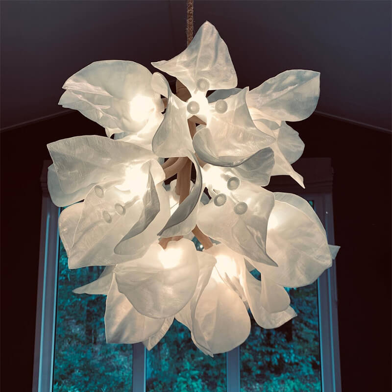 B-lumen4 B-lumen